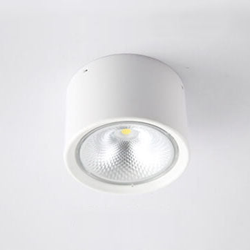Nordisk Cylinder Spot LED Loftslampe