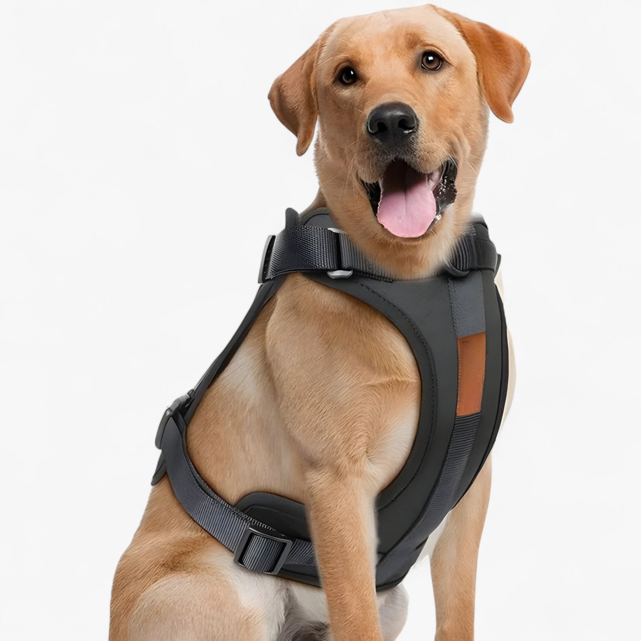 ComfyPaws | Sæt til gå-træning (inkluderer sele, bælte og affaldssækkeholder) - Sort - ComfyPaws | Sæt til gå-træning (inkluderer sele, bælte og affaldssækkeholder)- €25 - {{ product_tags }