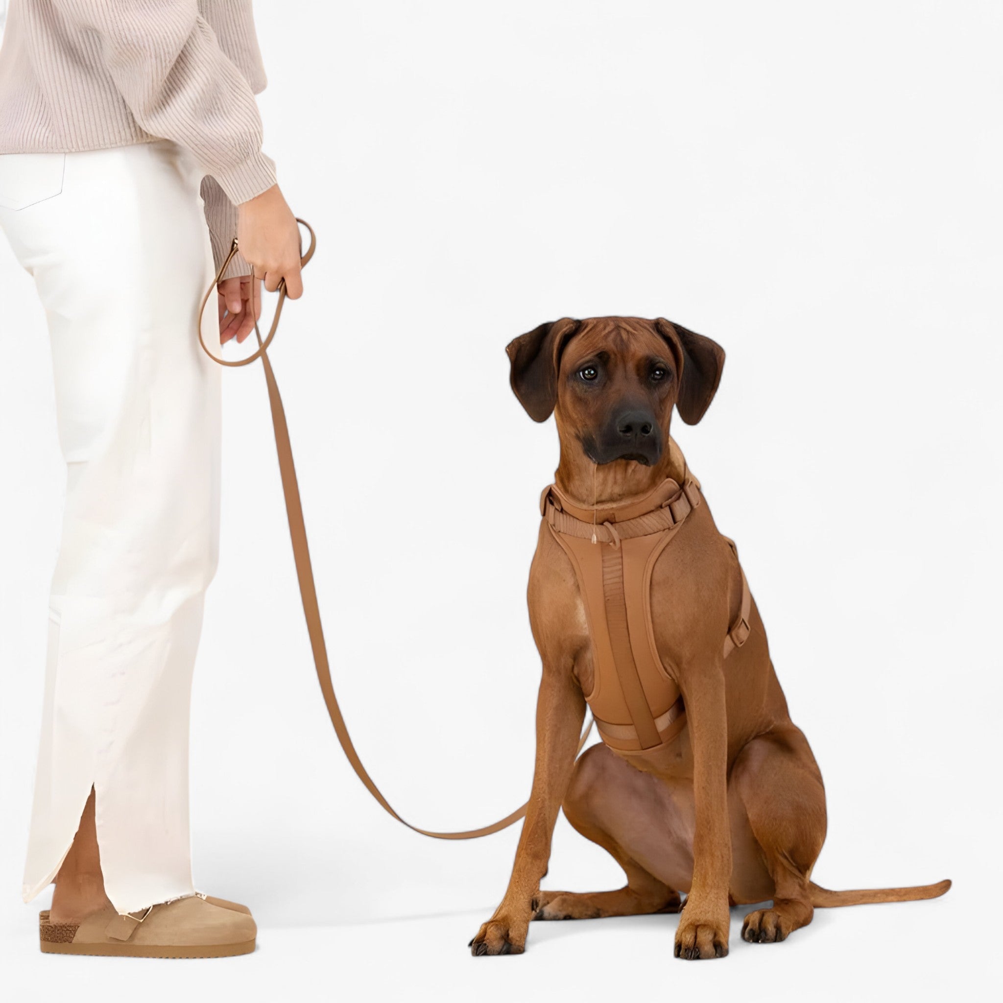 ComfyPaws | Sæt til gå-træning (inkluderer sele, bælte og affaldssækkeholder) - - ComfyPaws | Sæt til gå-træning (inkluderer sele, bælte og affaldssækkeholder)- €25 - {{ product_tags }
