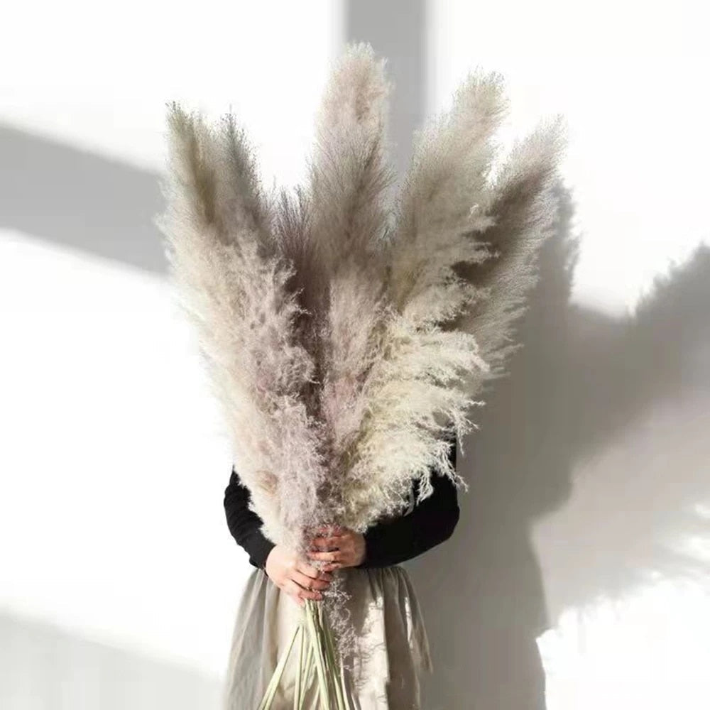 FeatherFawn - Tørrede pampasblomster - - FeatherFawn - Tørrede pampasblomster- €25 - {{ product_tags }