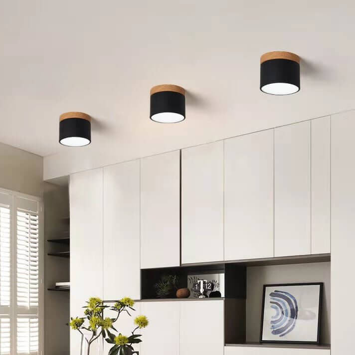 Skandinavisk LED Loftslampe