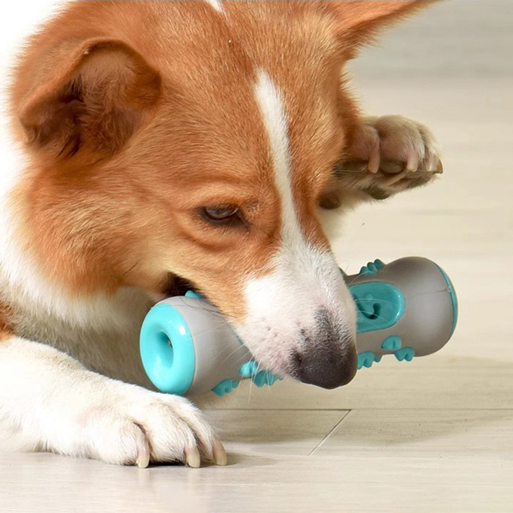 Orso Kløvsittende Kauspieltoy til Lykkelige Hunde - - other - {{ product_tags }