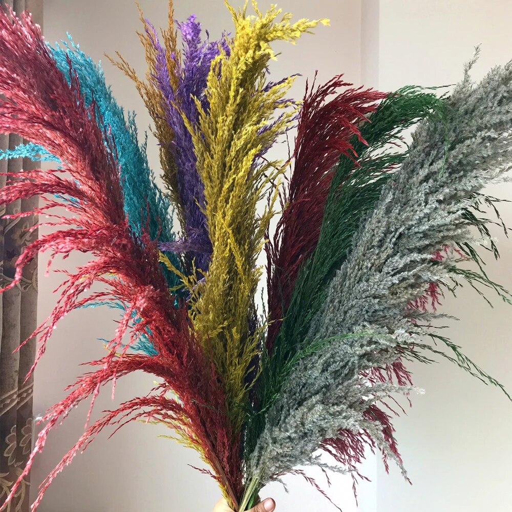 FeatherFawn - Tørrede pampasblomster - Flerfarvet - FeatherFawn - Tørrede pampasblomster- €25 - {{ product_tags }