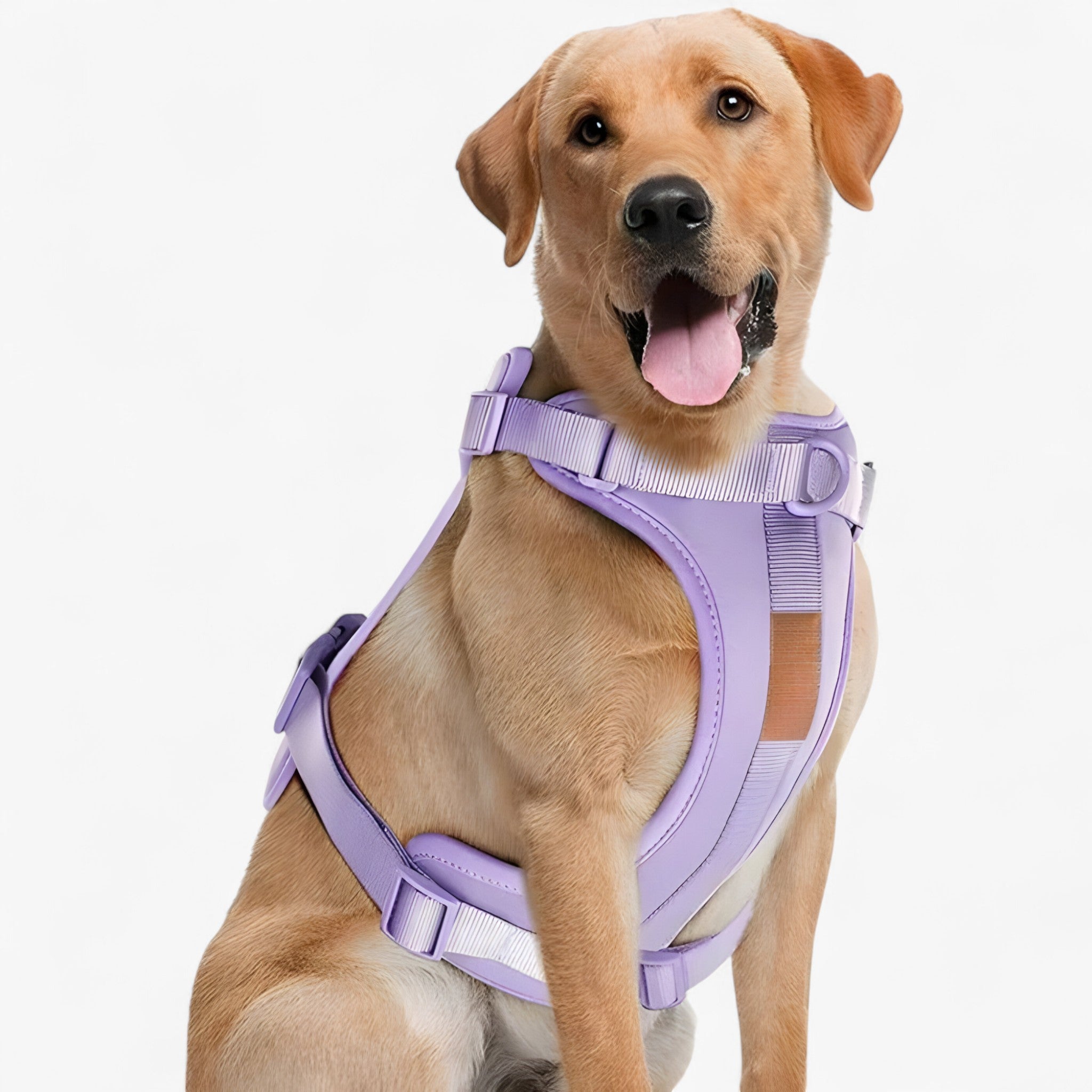 ComfyPaws | Sæt til gå-træning (inkluderer sele, bælte og affaldssækkeholder) - Violet - ComfyPaws | Sæt til gå-træning (inkluderer sele, bælte og affaldssækkeholder)- €25 - {{ product_tags }