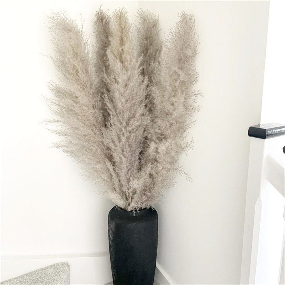 FeatherFawn - Tørrede pampasblomster - Naturlig grå - house & garden - {{ product_tags }