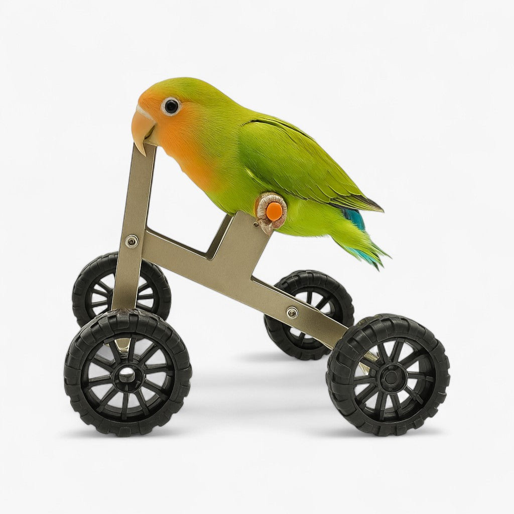 Jada | Papegøjetrejningscykel - Stimulerer leg, bevægelse og intelligens - - other - {{ product_tags }