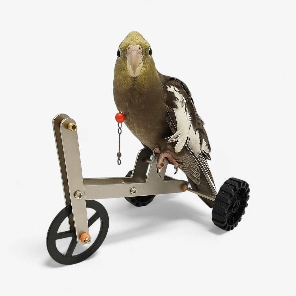 Jada | Papegøjetrejningscykel - Stimulerer leg, bevægelse og intelligens - - other - {{ product_tags }