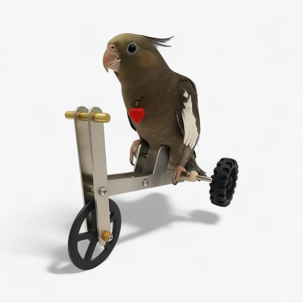 Jada | Papegøjetrejningscykel - Stimulerer leg, bevægelse og intelligens - - other - {{ product_tags }