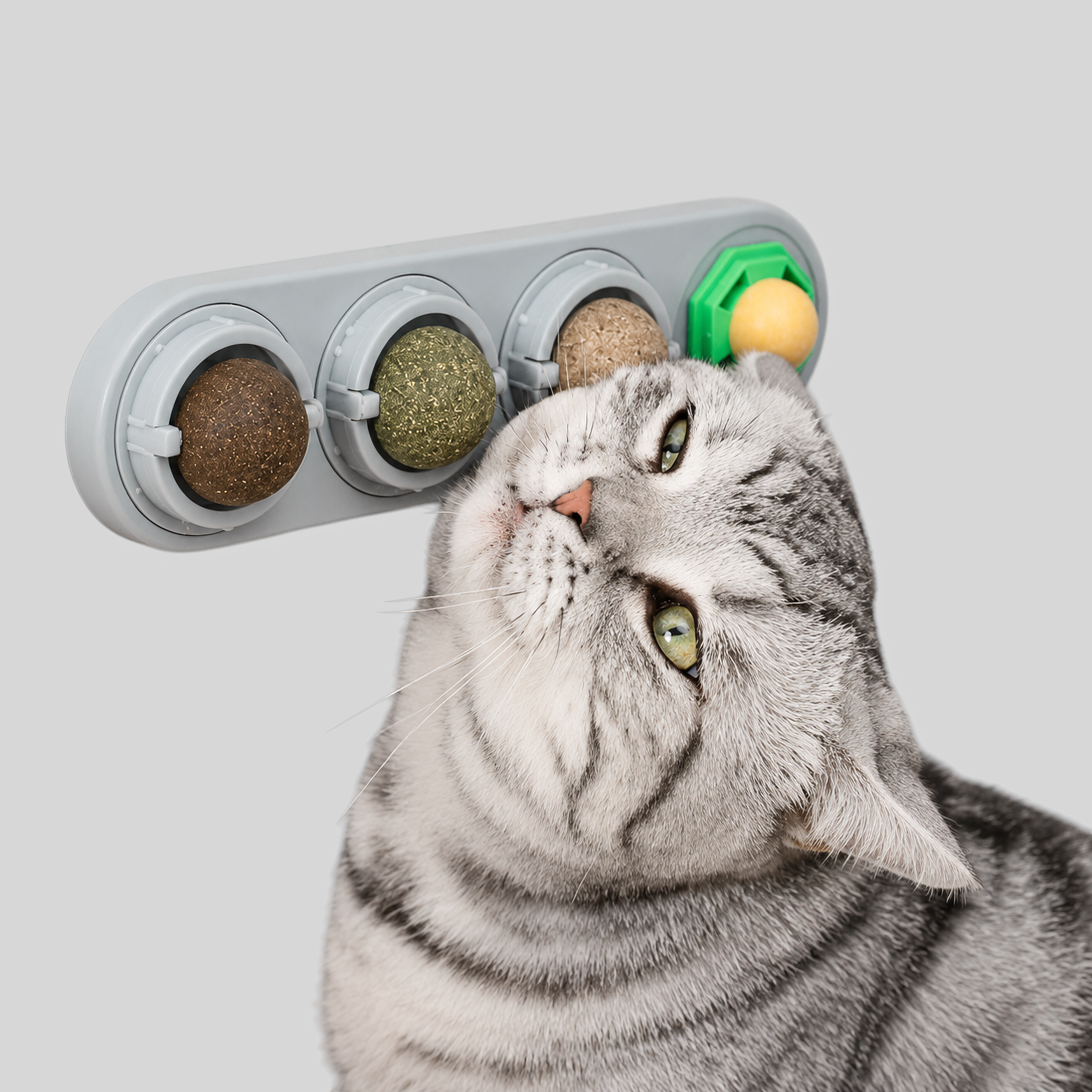 Kattelegetøj Interaktivt til Katte med Roterende Urtebolde