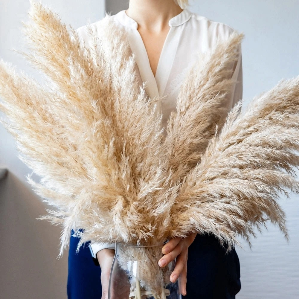 FeatherFawn - Tørrede pampasblomster - - FeatherFawn - Tørrede pampasblomster- €25 - {{ product_tags }