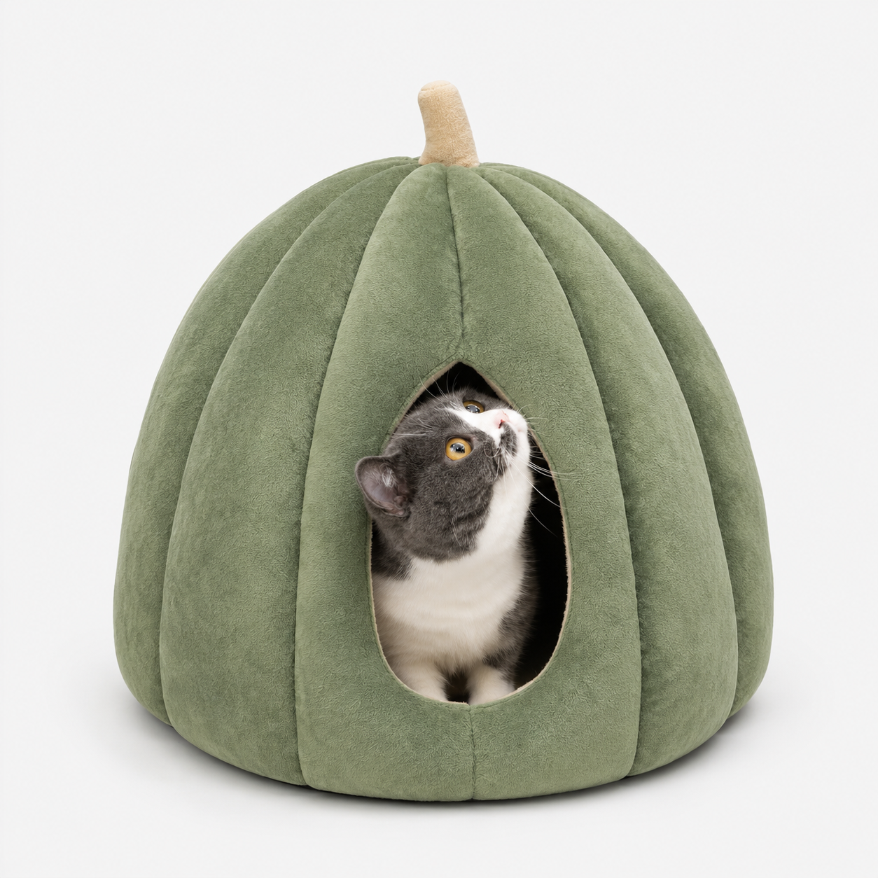 PumpkinNest | Kæledyrsseng - Vinterkomfort - Grøn 50x50x40cm(under 8kg 17.6lb) - other - {{ product_tags }