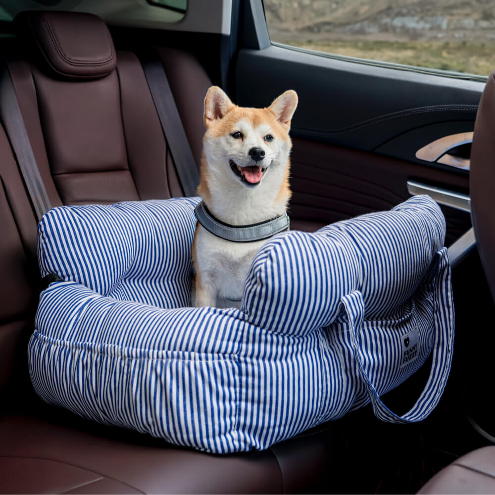 Hund bil seng - - Hund bil seng- €25 - {{ product_tags }