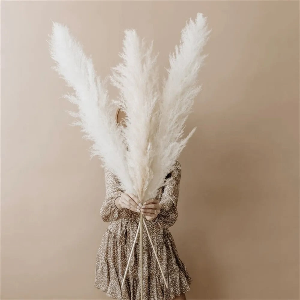 FeatherFawn - Tørrede pampasblomster - - house & garden - {{ product_tags }