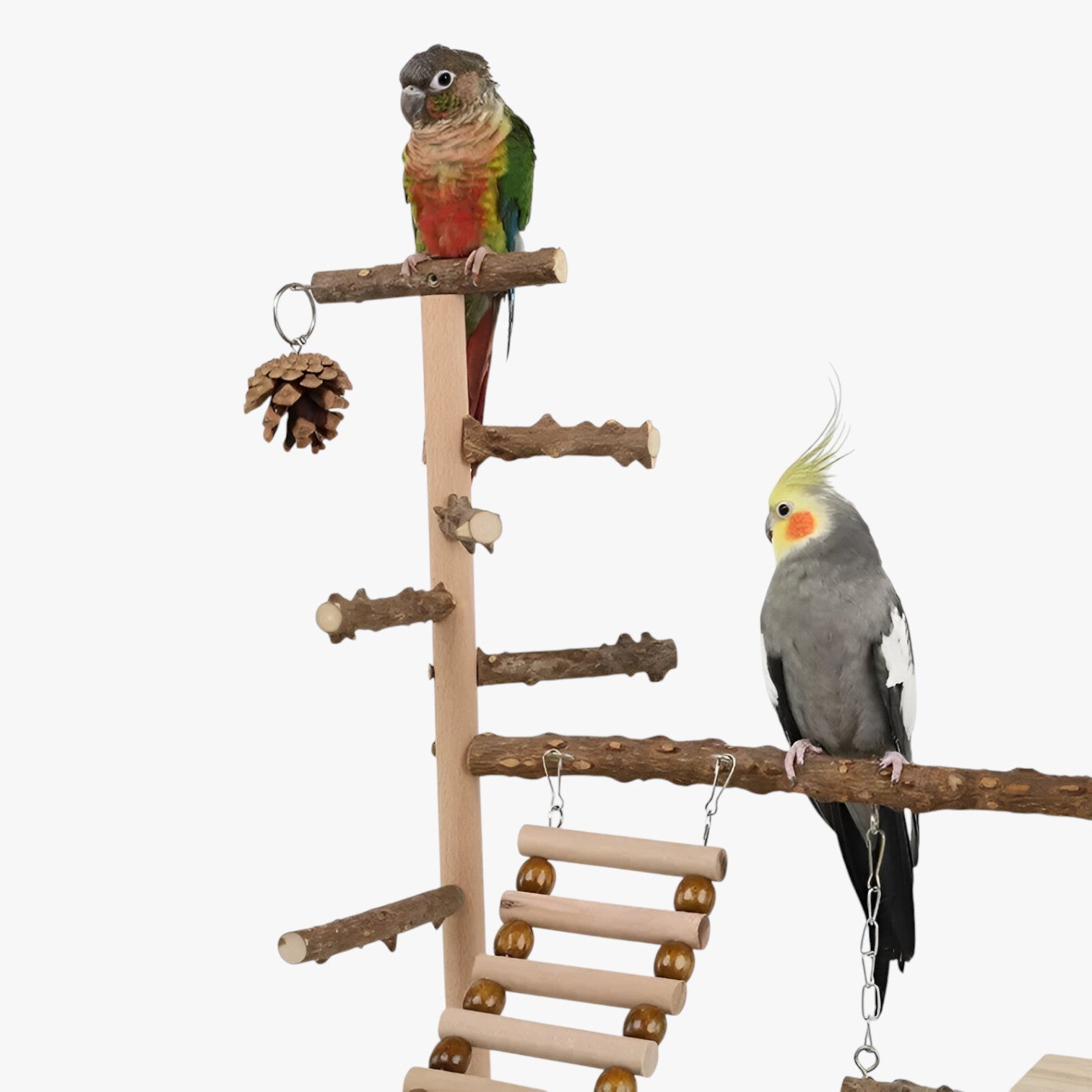 Jodi | Klimnet og Spilleplatform for Aktive Fugle - - other - {{ product_tags }