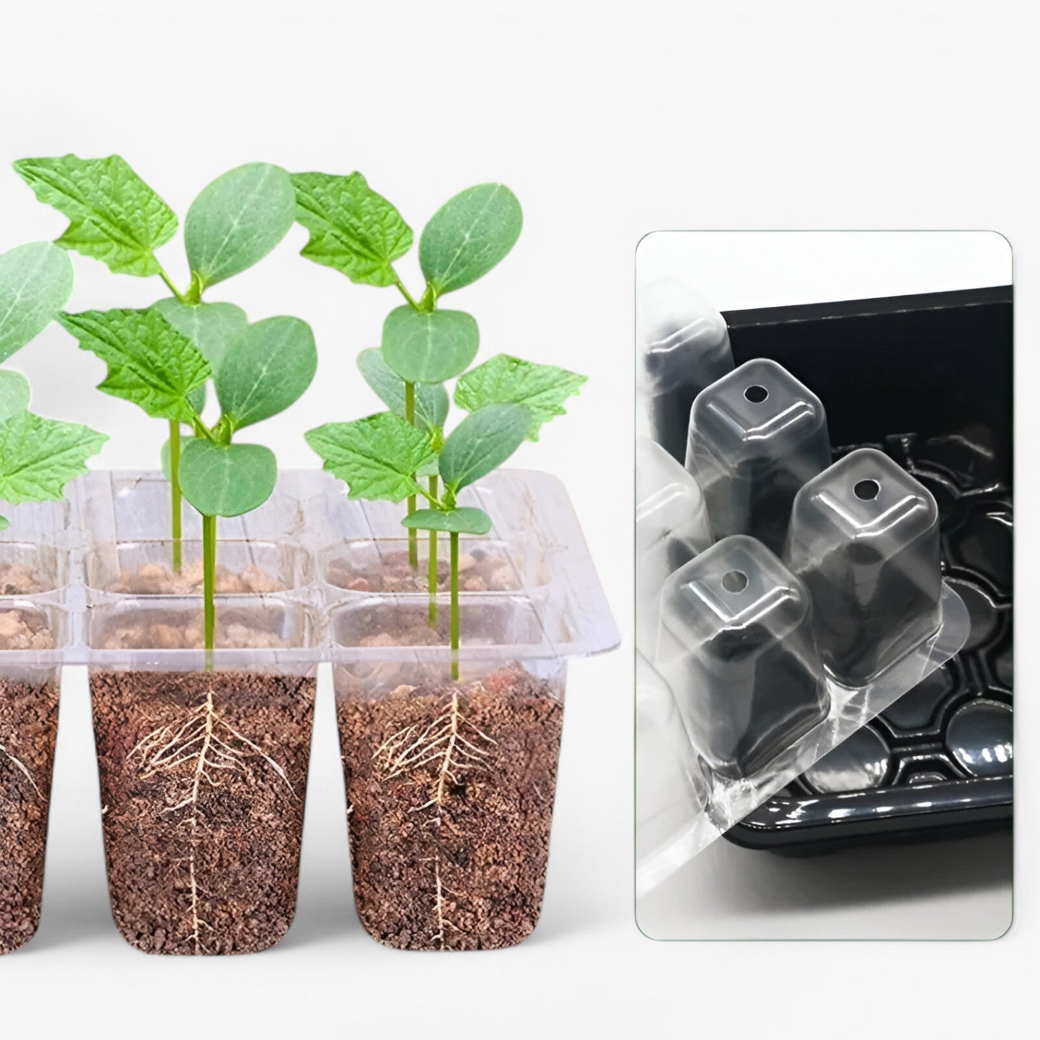 Aiden | Zaadstartplaat med Låg – Perfekt til Havearbejde & Indendørs Dyrkning - - house & garden - {{ product_tags }