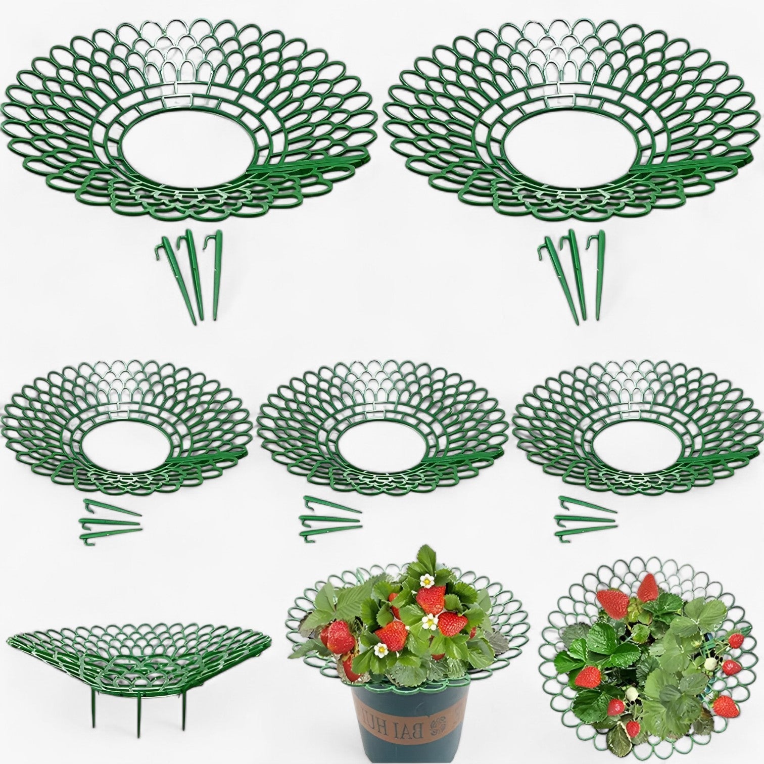Stella | Jordbærplanteholdere til sund vækst - - house & garden - {{ product_tags }