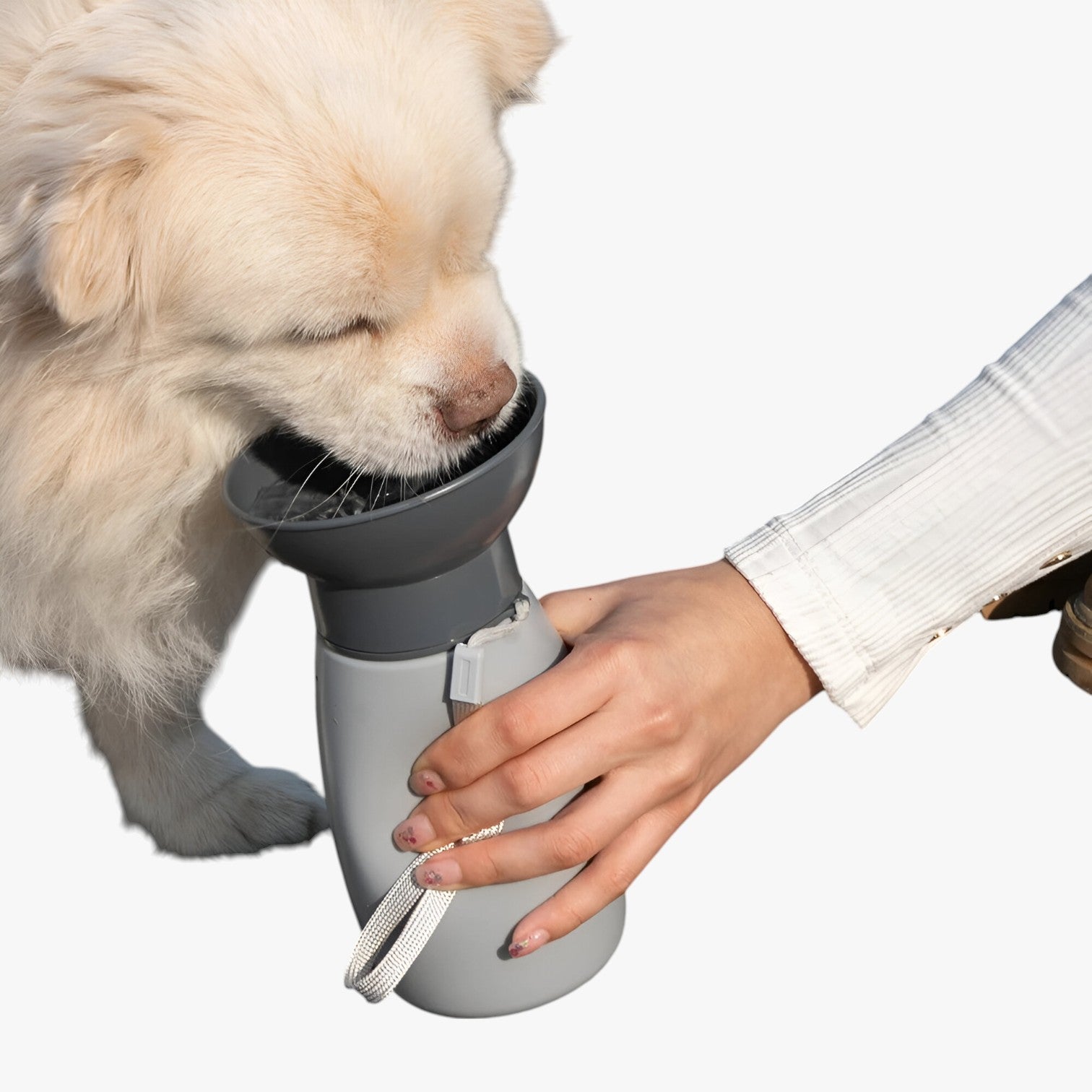 Theo | Bærbar Hund og Kat Vandflaske Udendørs Vanddispensers - - other - {{ product_tags }