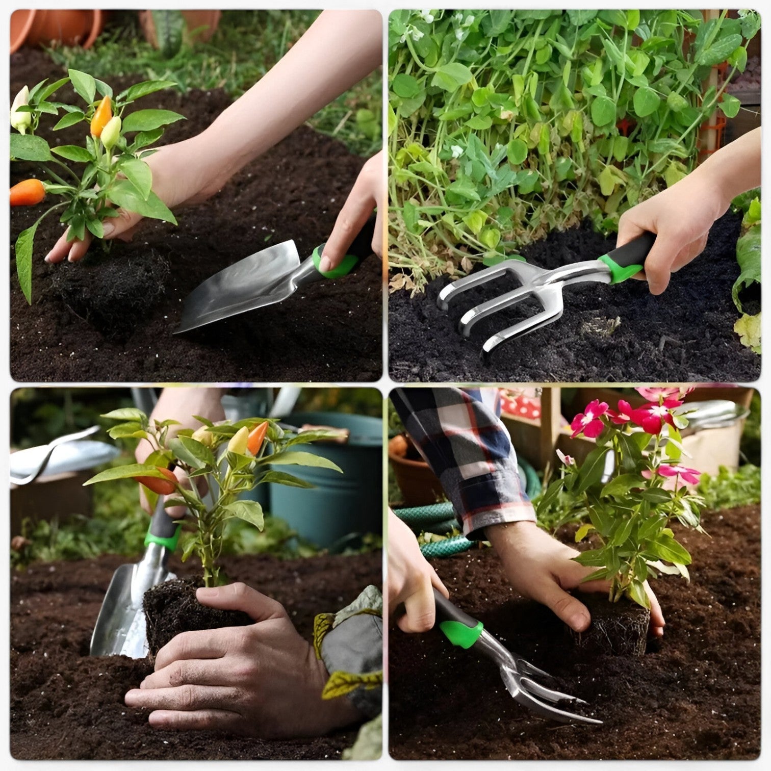 Cason | Stevige Beskæringssaks Sæt – Præcist og problemfrit beskæring - - house & garden - {{ product_tags }