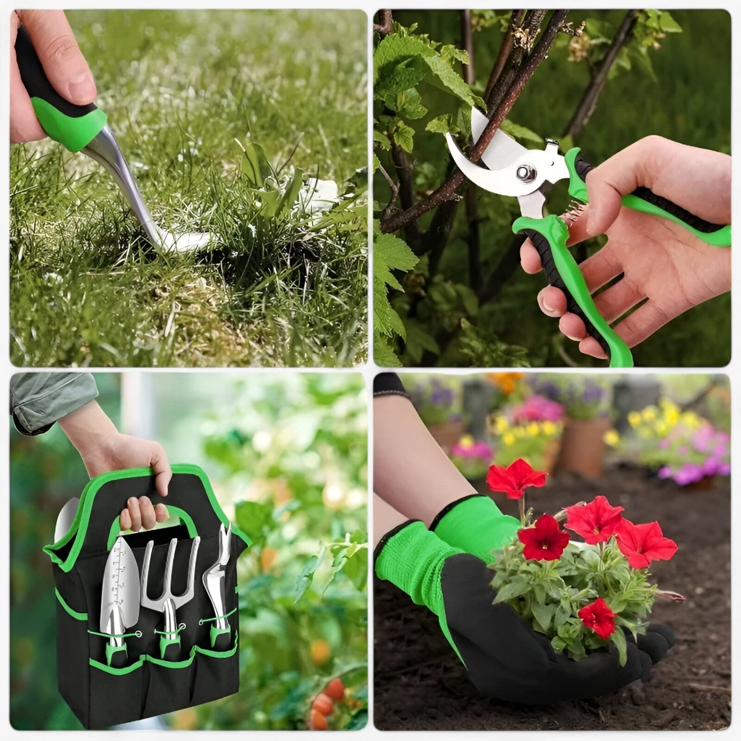 Cason | Stevige Beskæringssaks Sæt – Præcist og problemfrit beskæring - - house & garden - {{ product_tags }