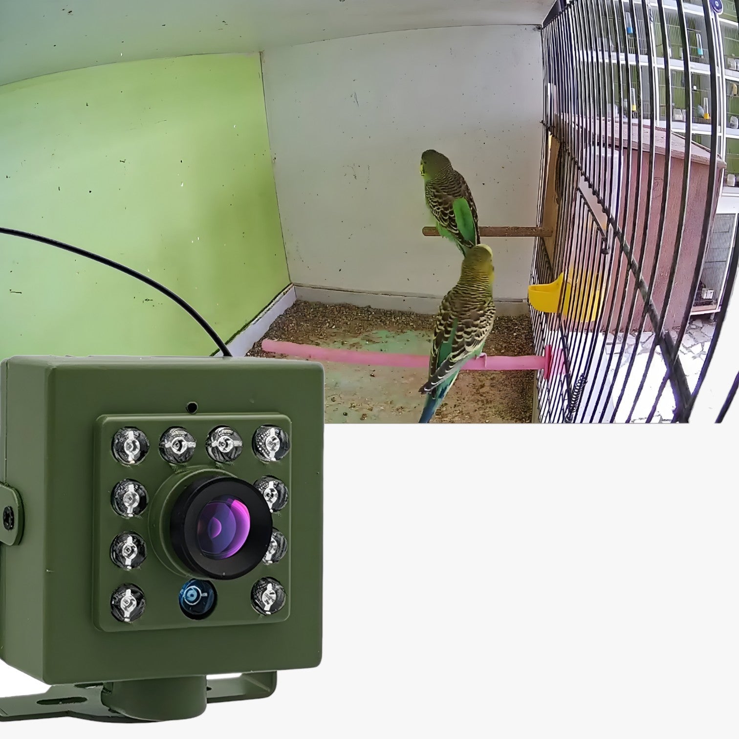 Live fuglekiggeri | WiFi Nest-kamera med natseende og lyd - - Live fuglekiggeri | WiFi Nest-kamera med natseende og lyd- €25 - {{ product_tags }