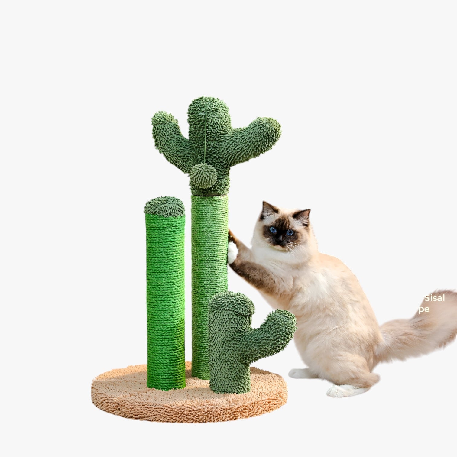 Mitzy | Kaktus Scratch Fun Interaktiv Kradsebræt med 3 Pæle og Hängende Bold - - other - {{ product_tags }