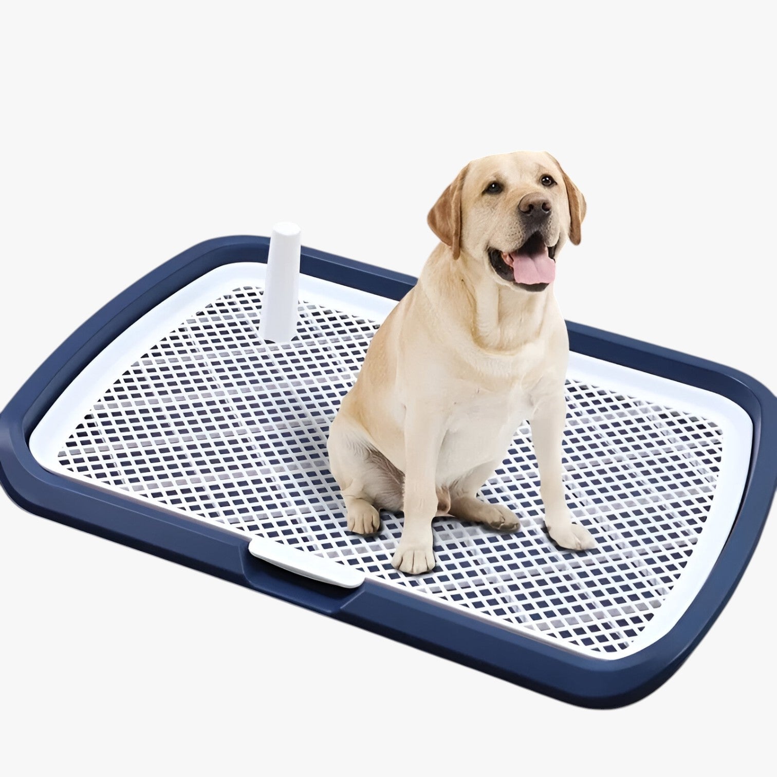 Carter | Toilet til hunde med aftageligt net Nem og hygiejnisk træning - - baby - {{ product_tags }