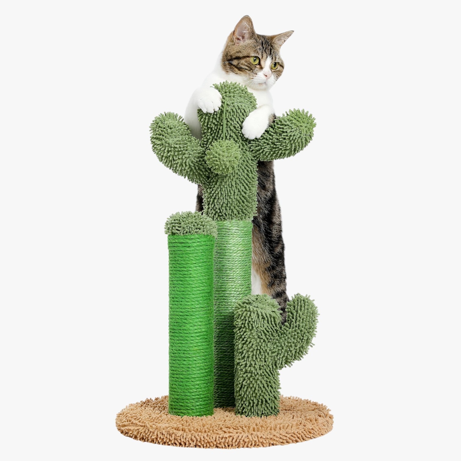 Mitzy | Kaktus Scratch Fun Interaktiv Kradsebræt med 3 Pæle og Hängende Bold - AMT0066BN - other - {{ product_tags }