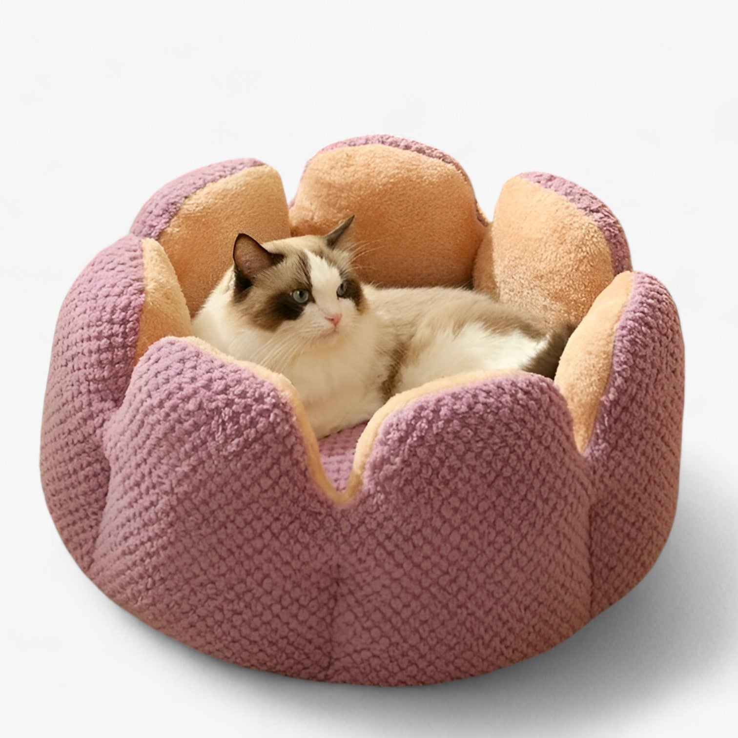 Addie | Blød Bloemhuis – Varm & Hyggelig for Katte og Hvalpe - lilla - baby - {{ product_tags }