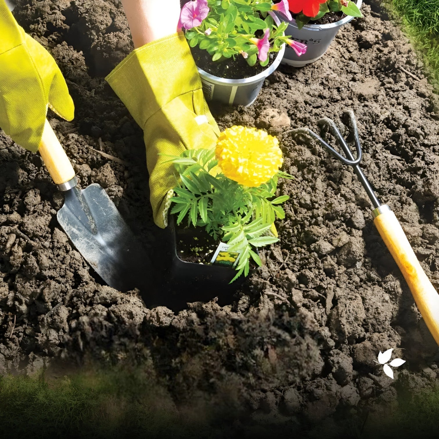 Rosendo | Alt-i-en-have sæt – Komfortabel og effektiv havearbejde - - house & garden - {{ product_tags }