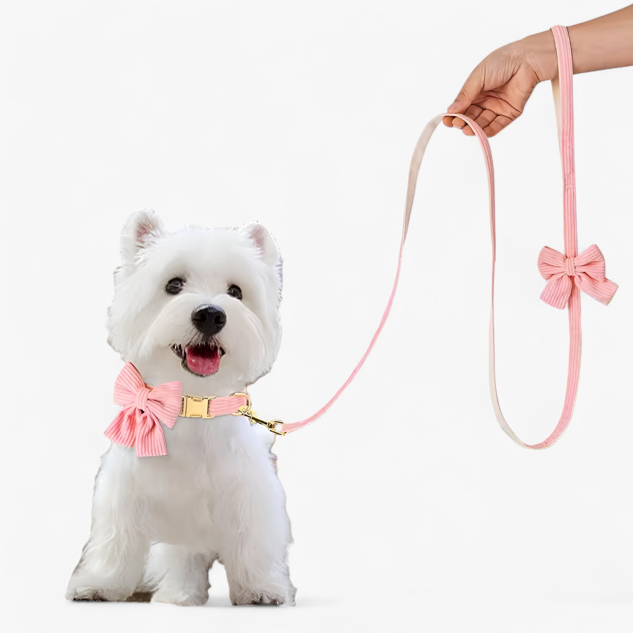 Luna | Sød Lyserød Halsbånd og Snor Sæt til Små og Mellemstore Hunde - - Luna | Sød Lyserød Halsbånd og Snor Sæt til Små og Mellemstore Hunde- €25 - {{ product_tags }