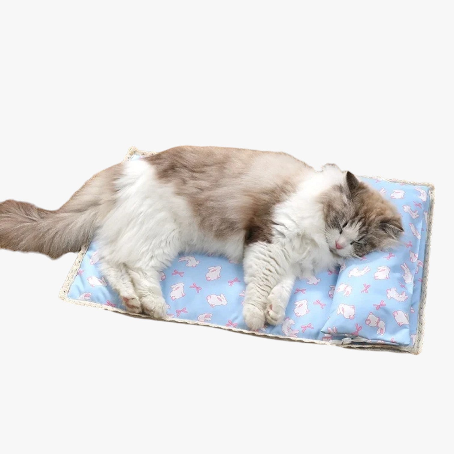 Frankie | Forårskoldende Sommerdyne til Katte og Hunde - - baby - {{ product_tags }