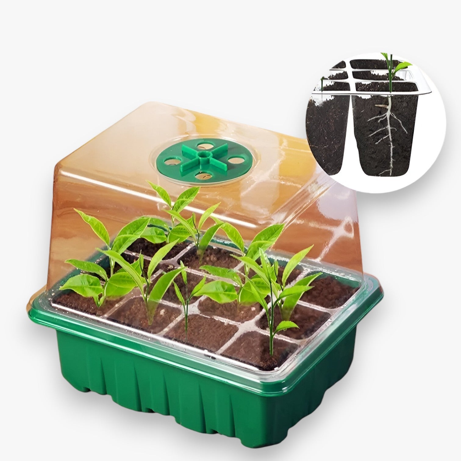 Aiden | Zaadstartplaat med Låg – Perfekt til Havearbejde & Indendørs Dyrkning - - house & garden - {{ product_tags }
