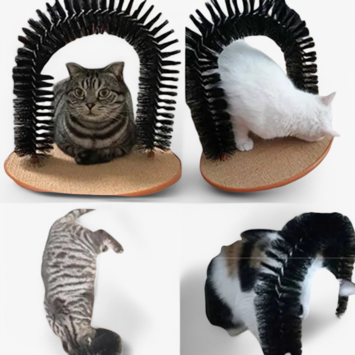 Calixta | Selvpleje Bue – Pleje, krabben og leg i ét - - other - {{ product_tags }