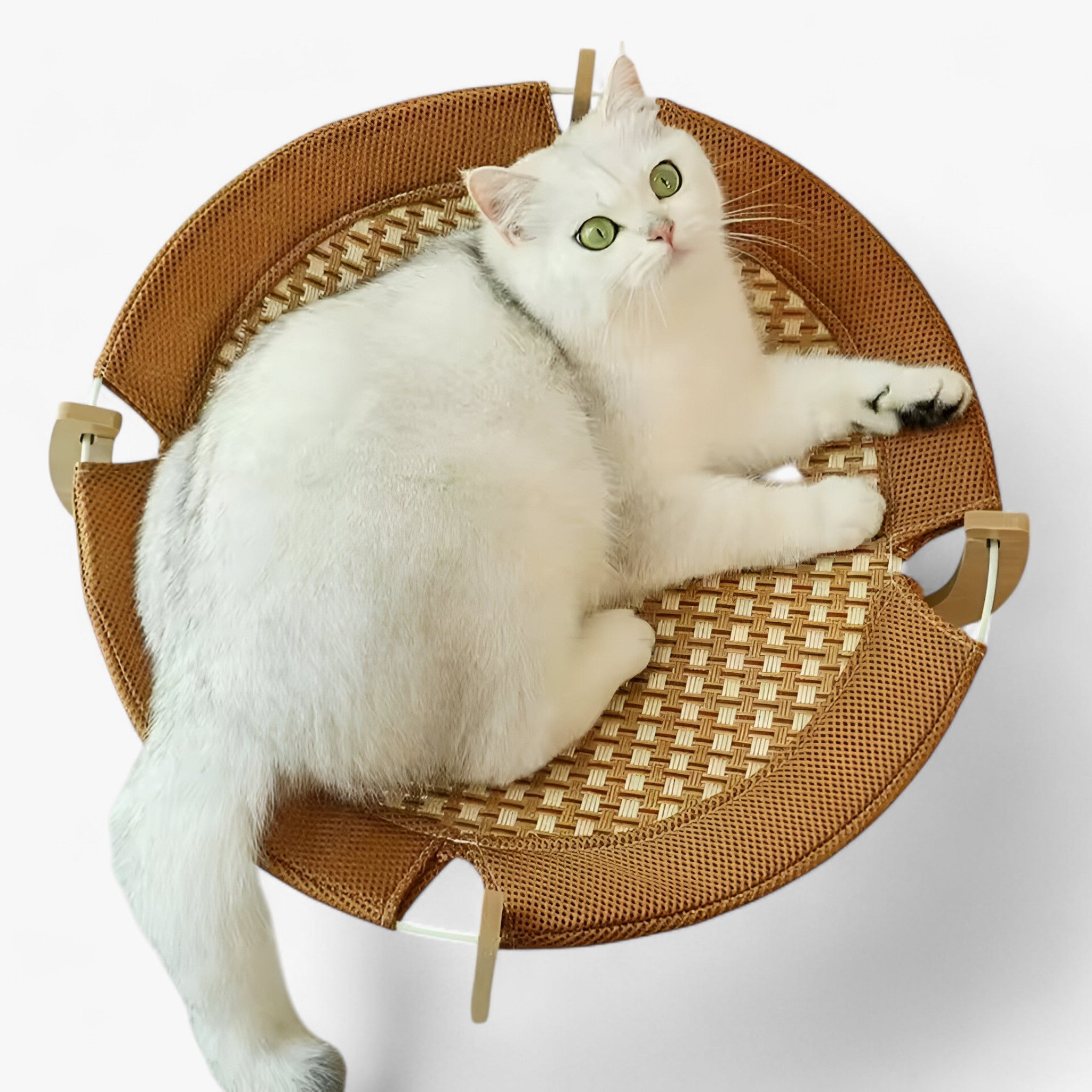 Nova | Træ kattenbed med robust hængekøje - - house & garden - {{ product_tags }