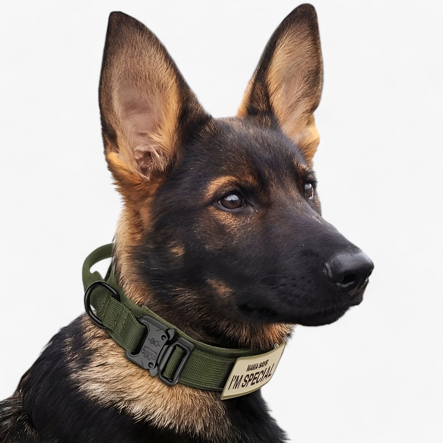 Brodie| Taktisk hundehalsbånd med håndtag til træning - - Brodie| Taktisk hundehalsbånd med håndtag til træning - €25 - {{ product_tags }