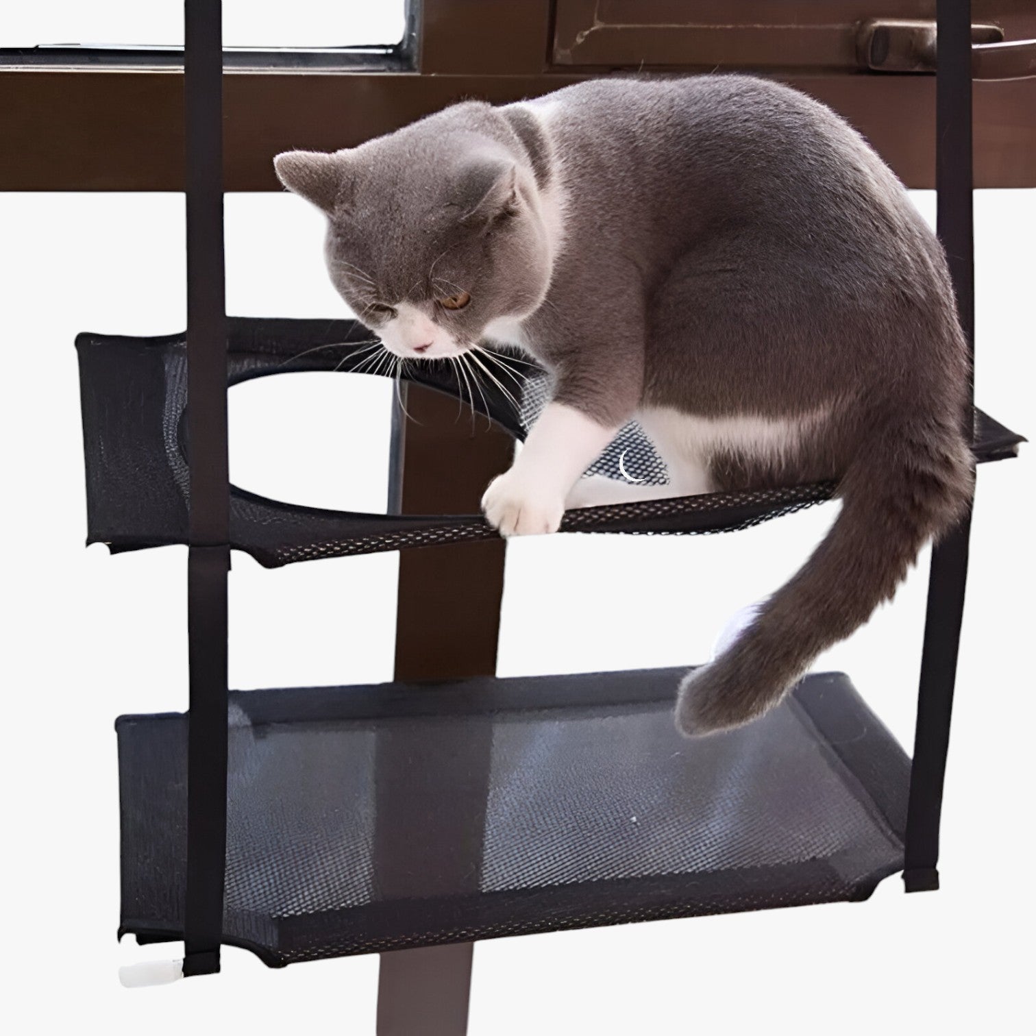 Simba | Sunny Window katteham - - house & garden - {{ product_tags }