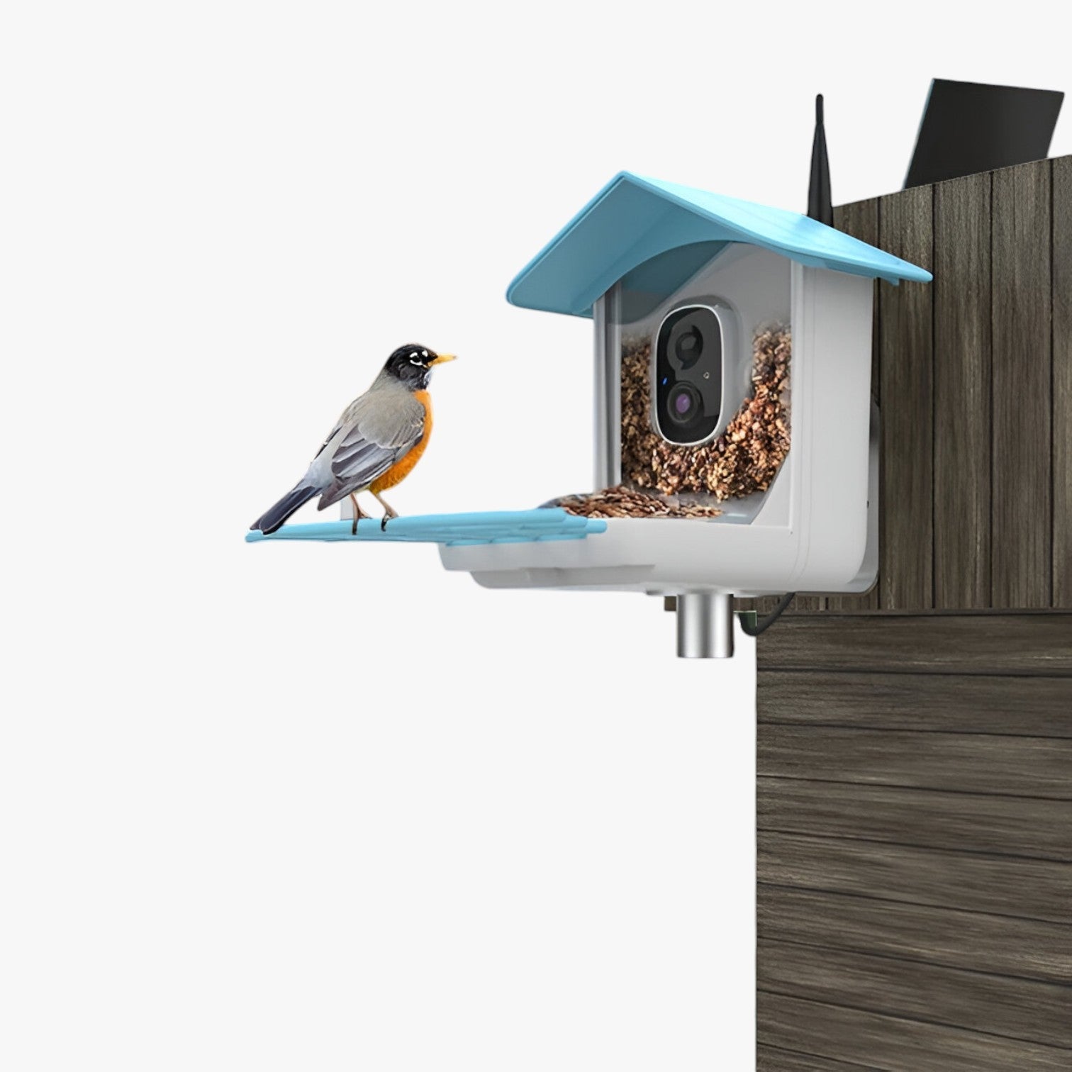 Levin | Sikkerhed & Fugleglæde – Solenergi-kamera med fodringsskål til fugle - - house & garden - {{ product_tags }