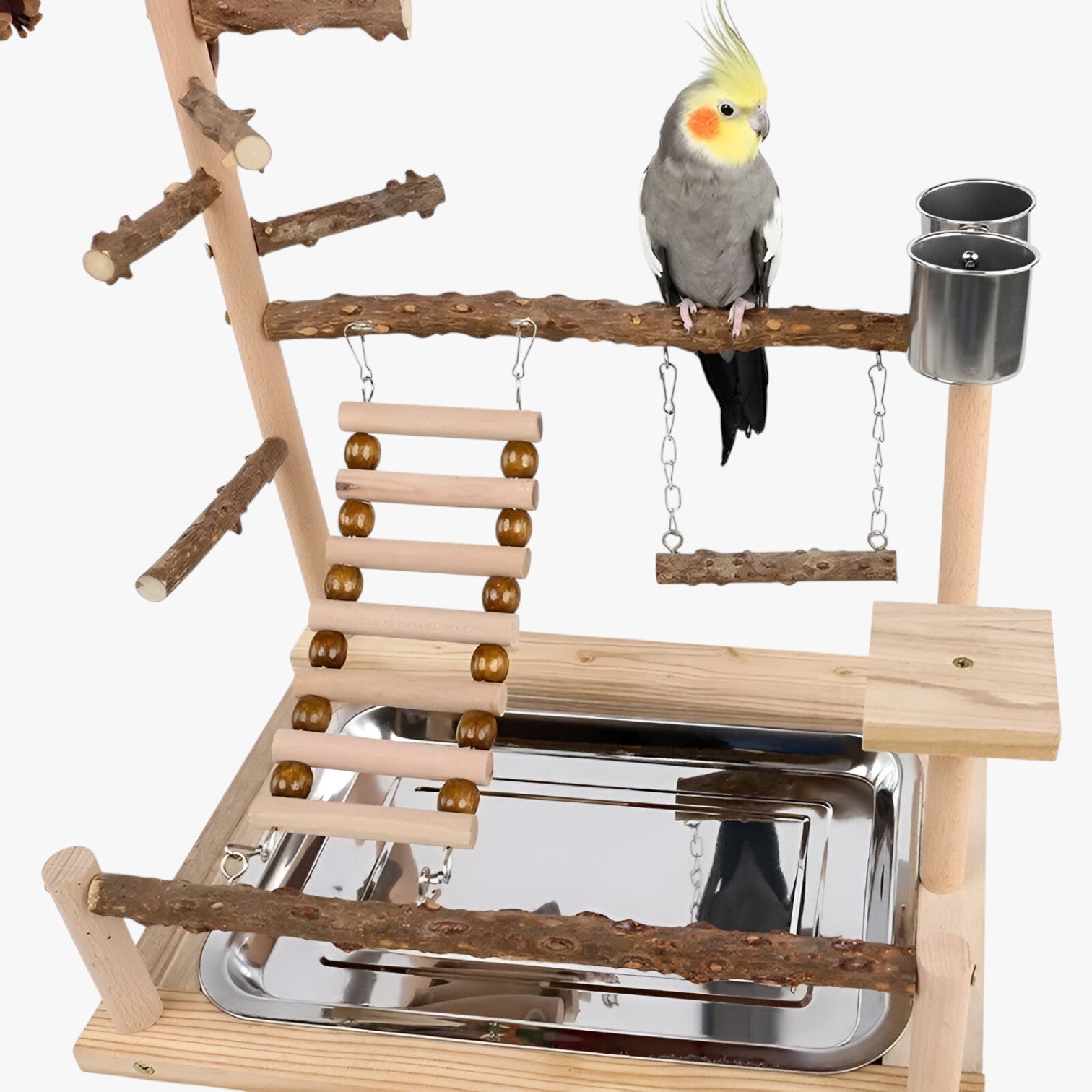 Jodi | Klimnet og Spilleplatform for Aktive Fugle - - other - {{ product_tags }