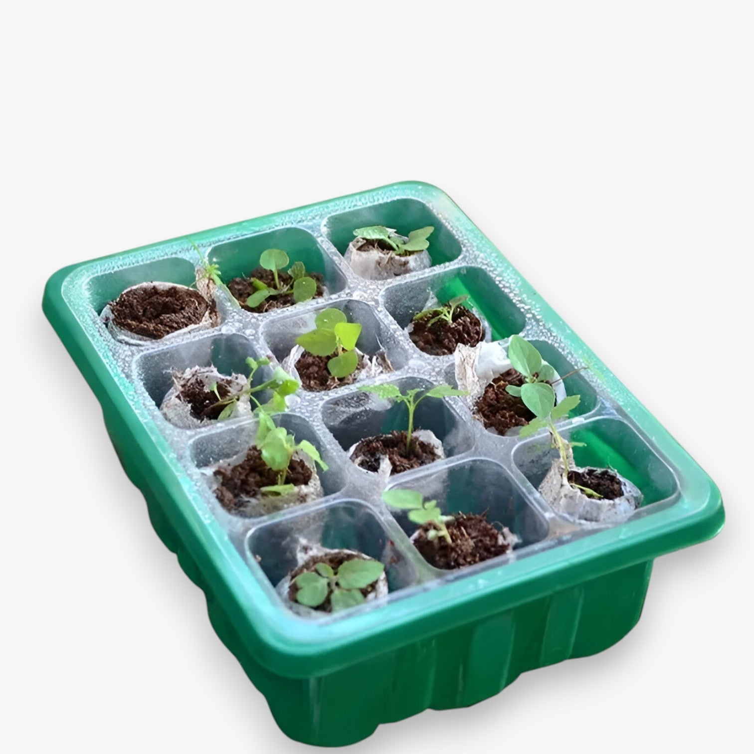 Aiden | Zaadstartplaat med Låg – Perfekt til Havearbejde & Indendørs Dyrkning - - house & garden - {{ product_tags }