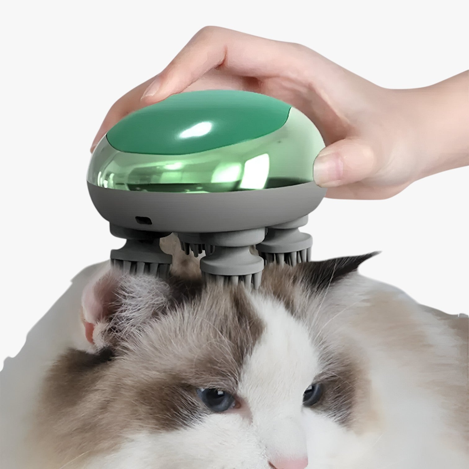Kayden | Dybe Massage for Katte og Hunde Velvære lige ved pote - - other - {{ product_tags }