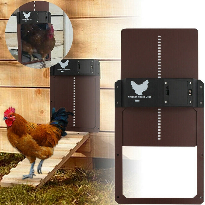 Automatisk Hønselem til Hønsehus | Sikker og Tidsbesparende Løsning til Fjerkræ - Brun (4 på lager) - house & garden - {{ product_tags }