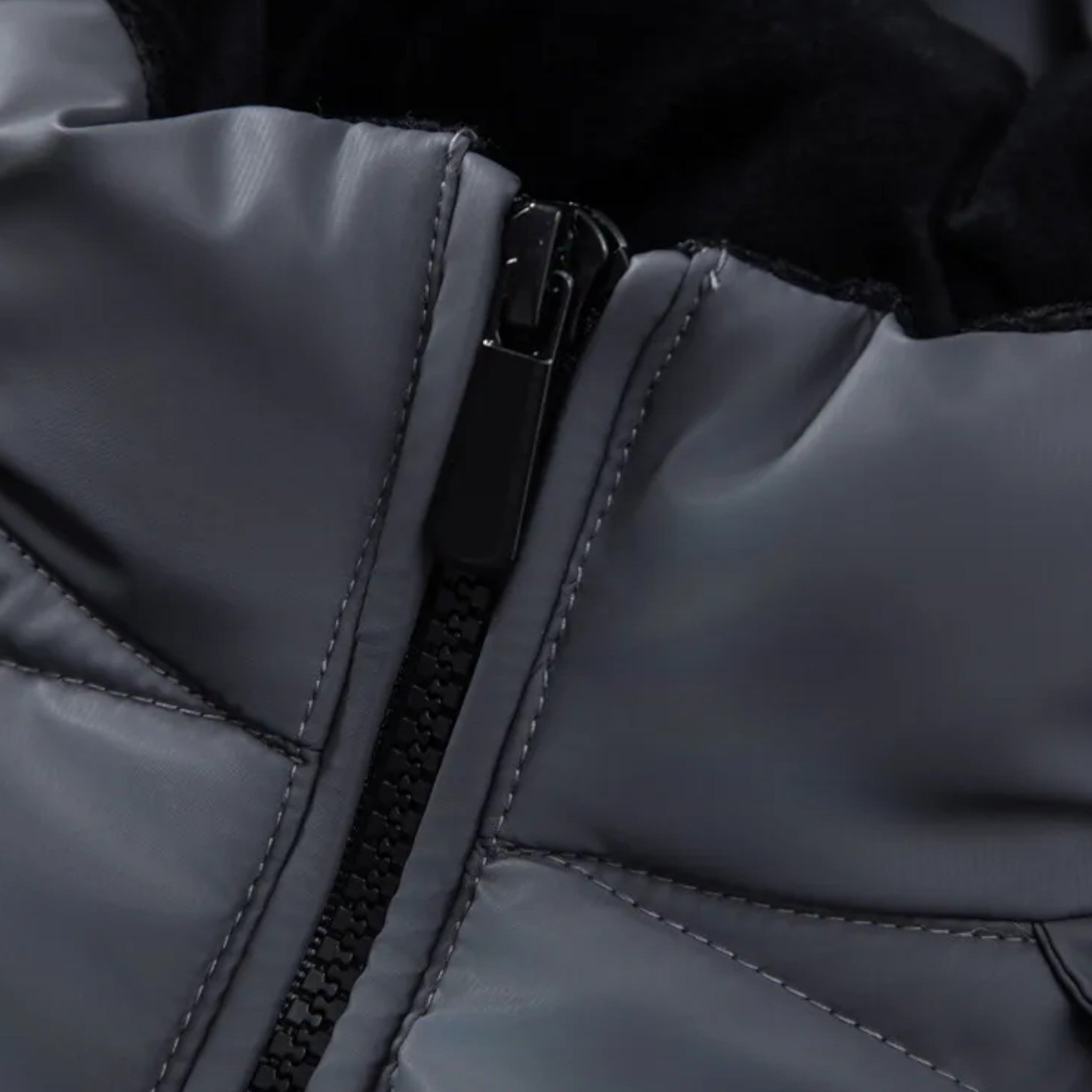 Alfie | Vinterjacka – Stil och Värme i Perfekt Harmoni - - winter - {{ product_tags }