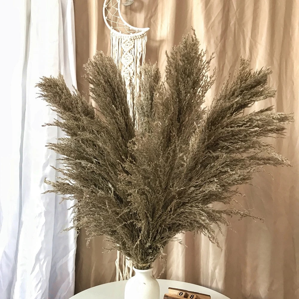 FeatherFawn - Tørrede pampasblomster - Naturlig gråbrun - FeatherFawn - Tørrede pampasblomster- €25 - {{ product_tags }