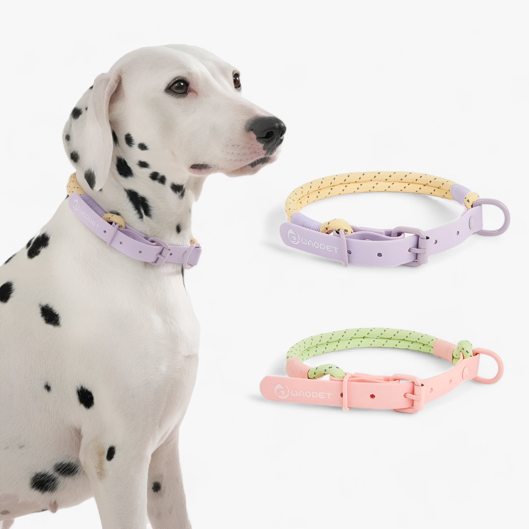 PAWFECT PALS | Hundehalsbåndsæt - Slående design med holdbar PVC - - other - {{ product_tags }