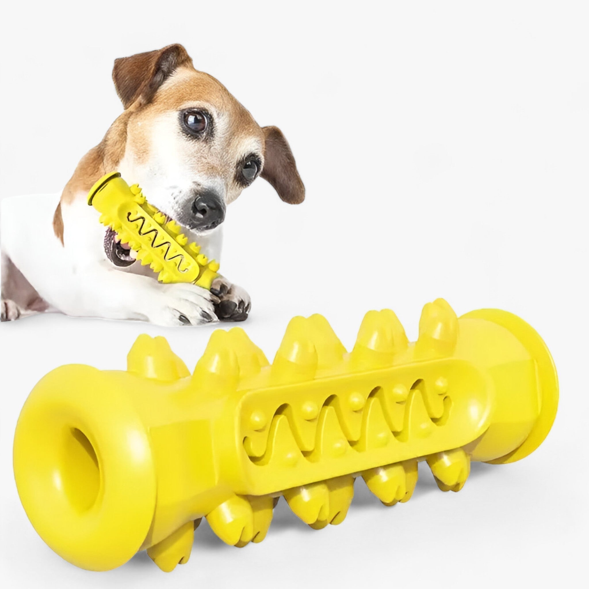 Rocky | Gummilegetøjet - Rengør tænderne og plejer hunde - Gul - other - {{ product_tags }