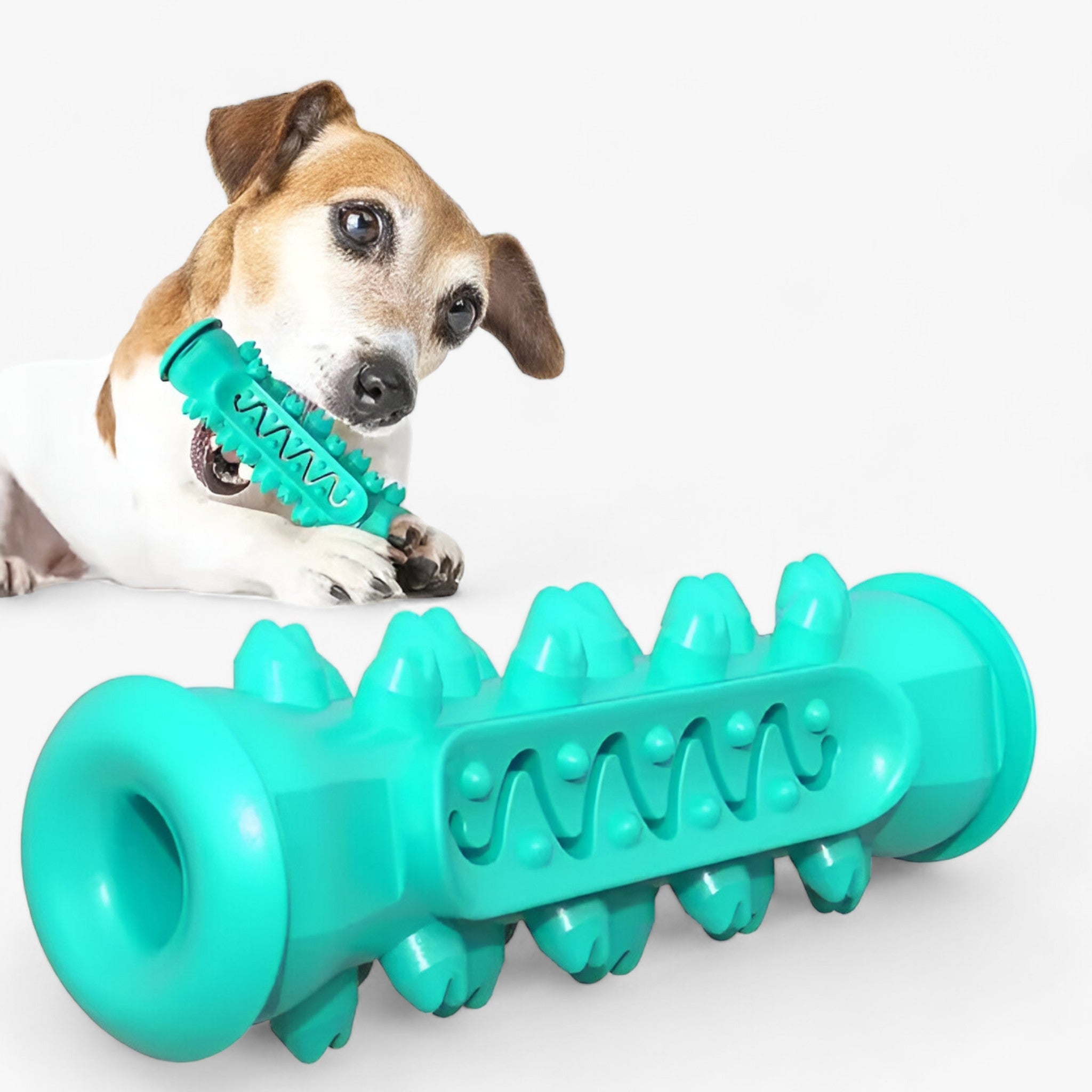 Rocky | Gummilegetøjet - Rengør tænderne og plejer hunde - - other - {{ product_tags }