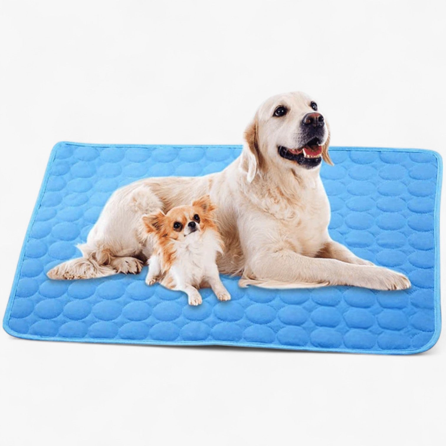 Forfriskende måtte til hunde - Blå - Forfriskende måtte til hunde- €25 - {{ product_tags }