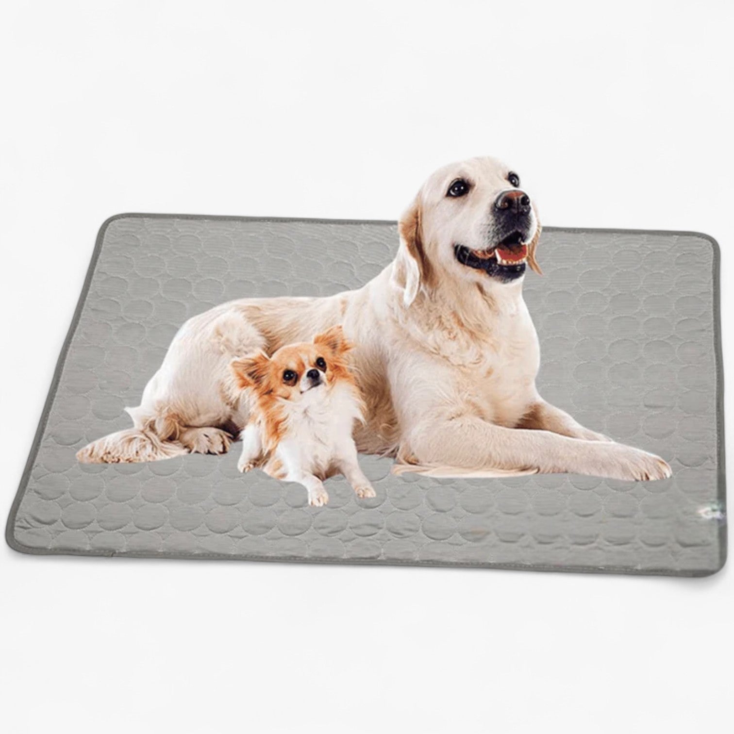Forfriskende måtte til hunde - Grå - Forfriskende måtte til hunde- €25 - {{ product_tags }
