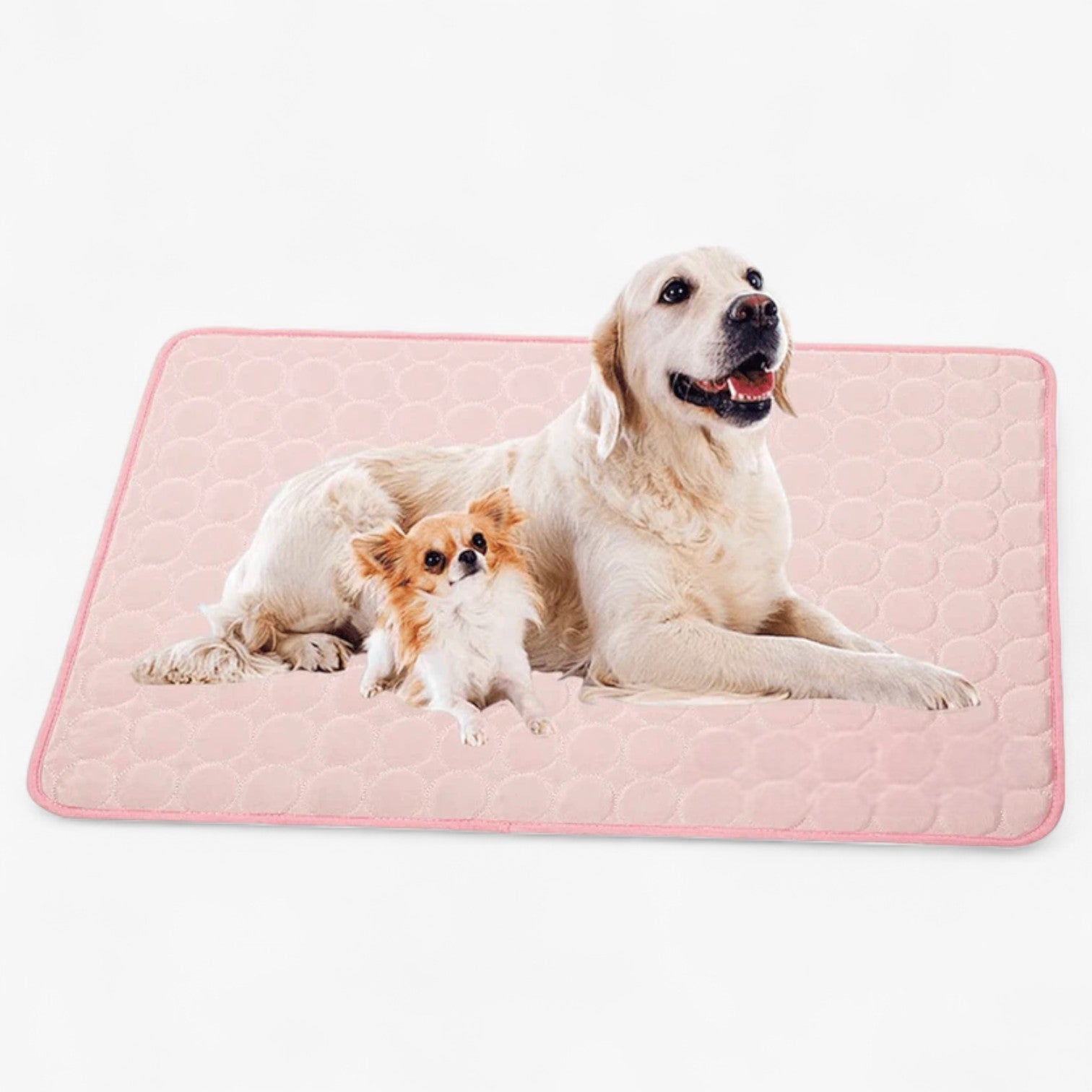 Forfriskende måtte til hunde - Rose - other - {{ product_tags }