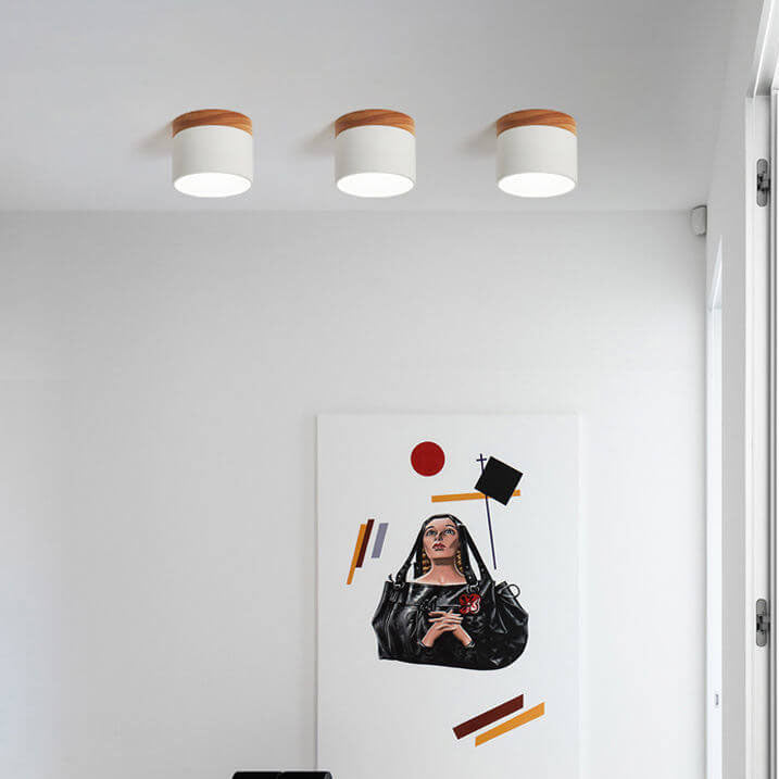 Skandinavisk LED Loftslampe